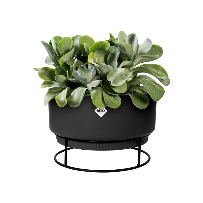 b.for studio bowl 30cm living black